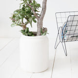 Grand pot - Solsken